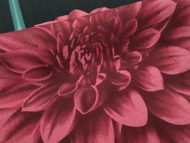 訪問着 セオアルファ