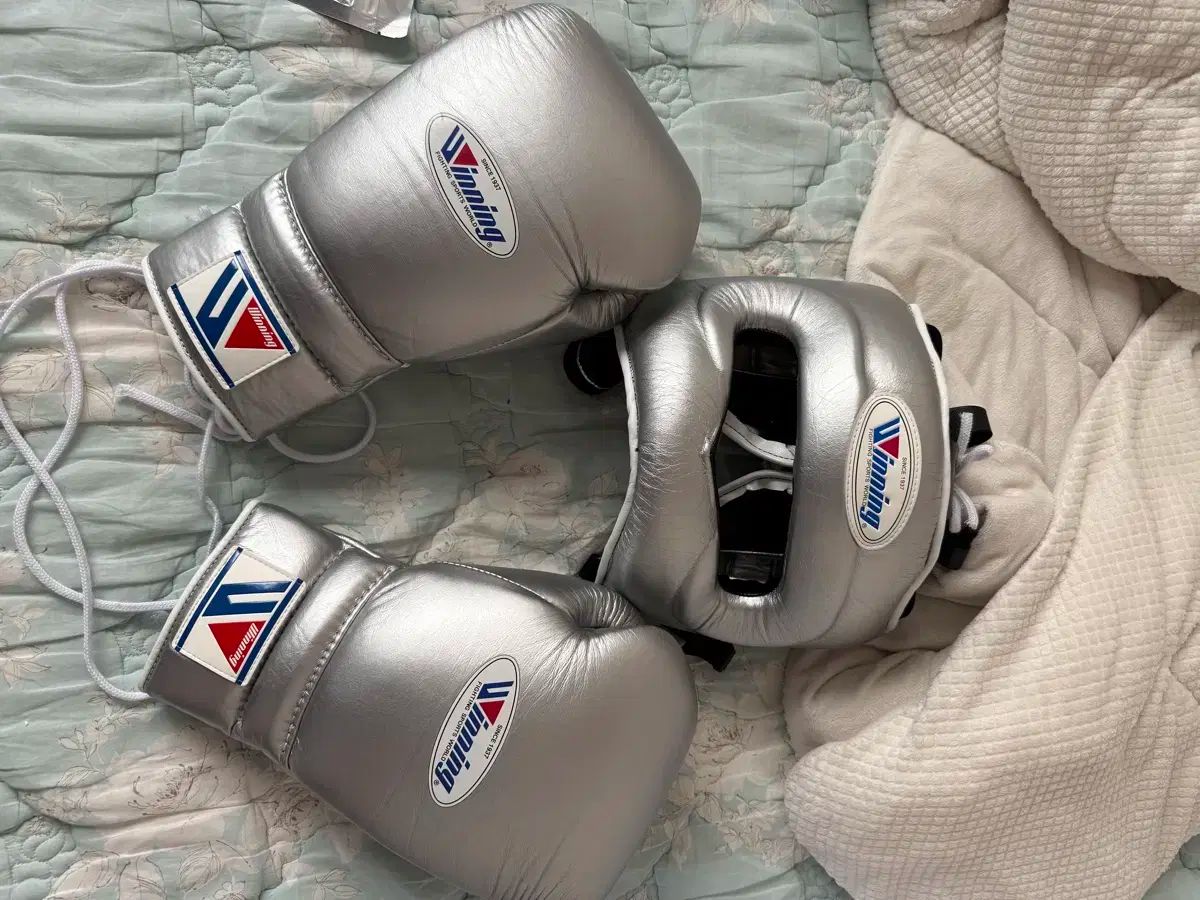 ウィニング シルバー コボホ 16オンス セット