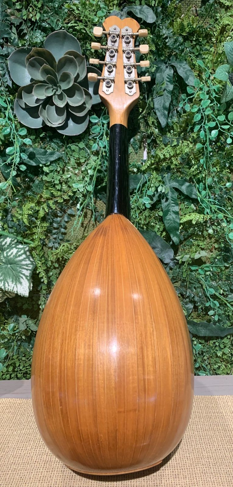 KUNISHIMA MANDOLIN クニシマ マンドリン No.106 - メルカリ