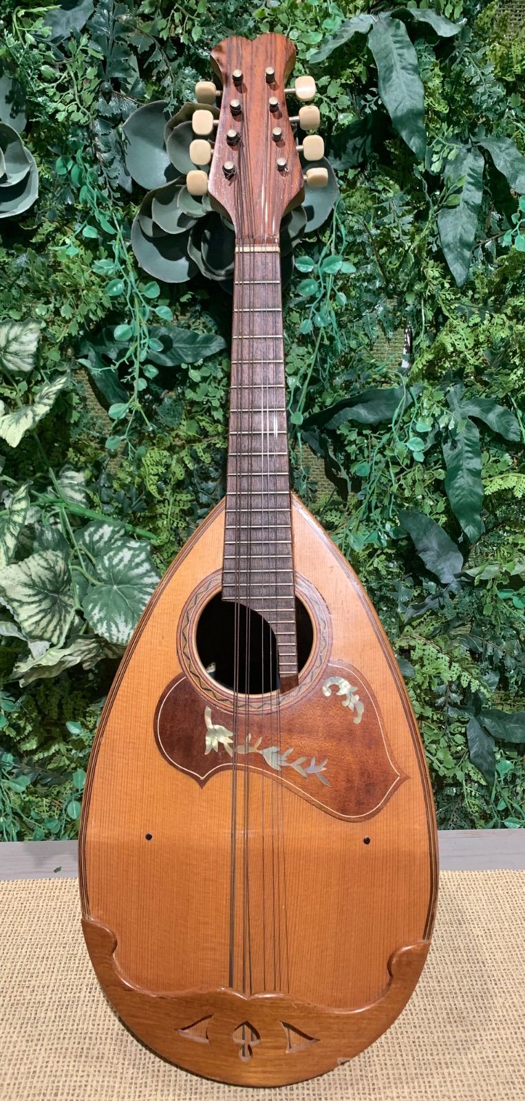 KUNISHIMA MANDOLIN クニシマ マンドリン No.106 - メルカリ