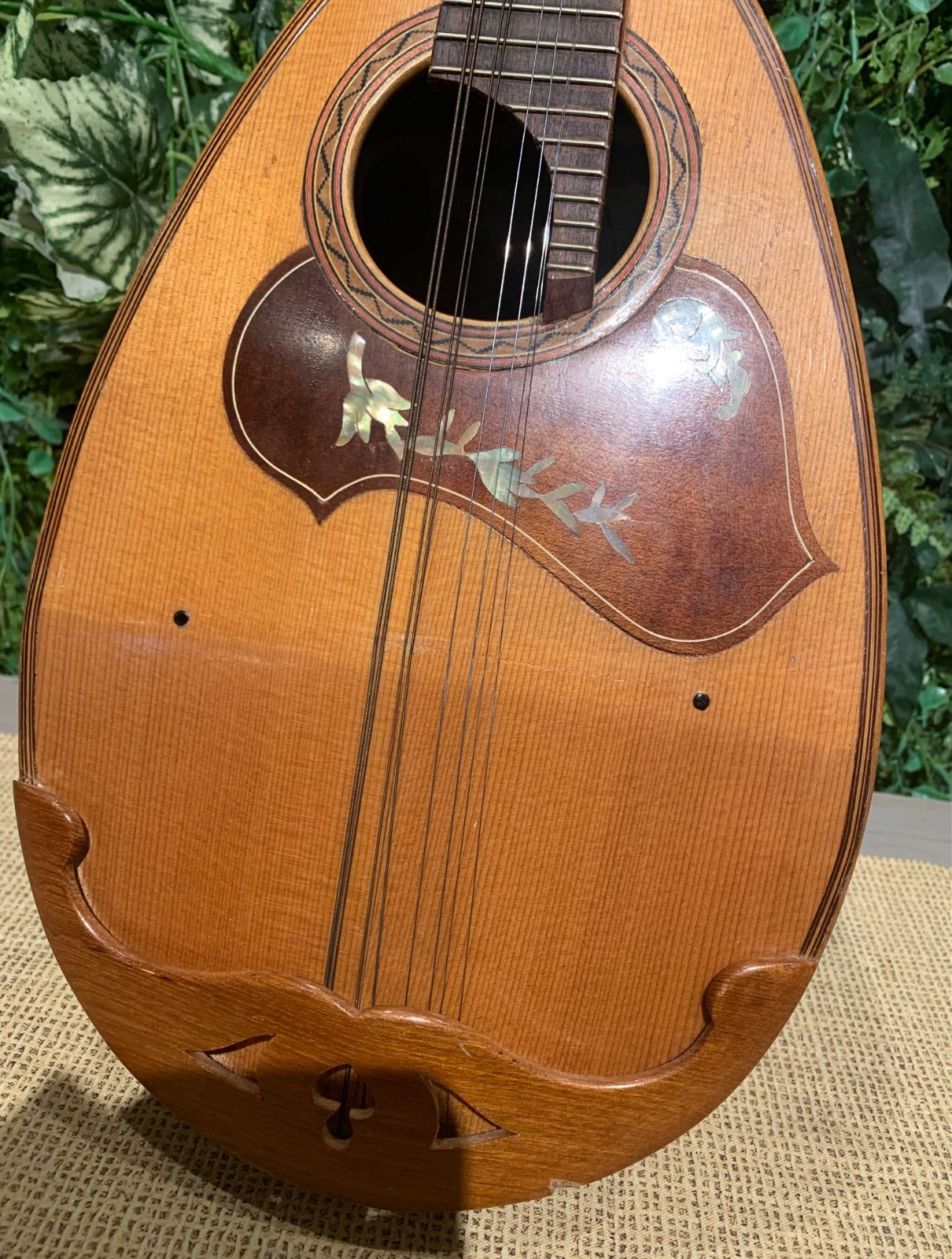 KUNISHIMA MANDOLIN クニシマ マンドリン No.106 - メルカリ