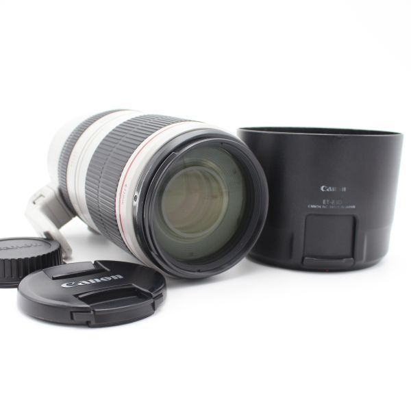 CANON EF 100-400 mm F 4.5-5.6 L IS II USM ♯85015