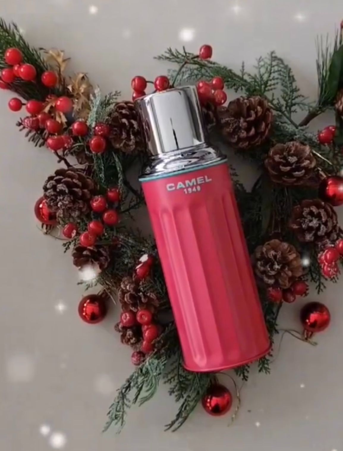 香港製 CAMEL 魔法瓶 450ml 二重ガラス 真空断熱 フラスク キャップ一体型ストッパー付き 122PM Pomegranate ザクロ