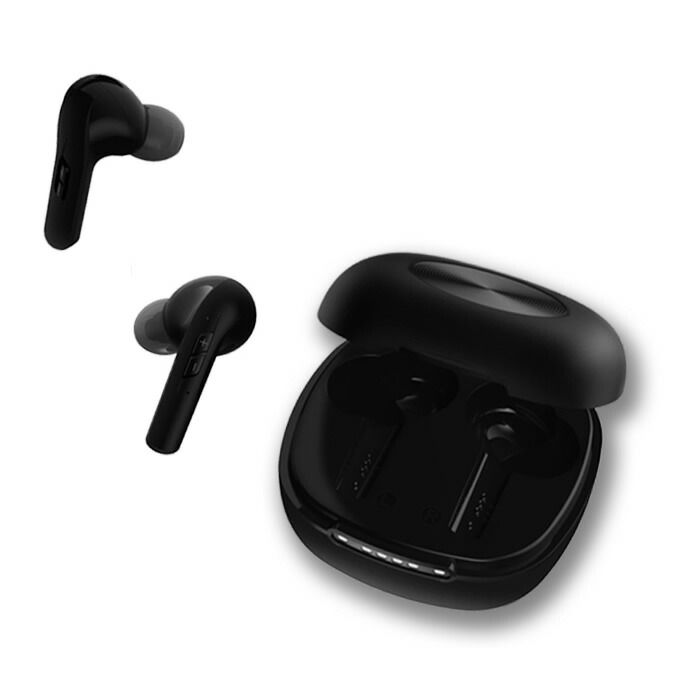 ダイニチ電子 らくらく耳りん イヤホンタイプ集音器 DRM301B ブラック