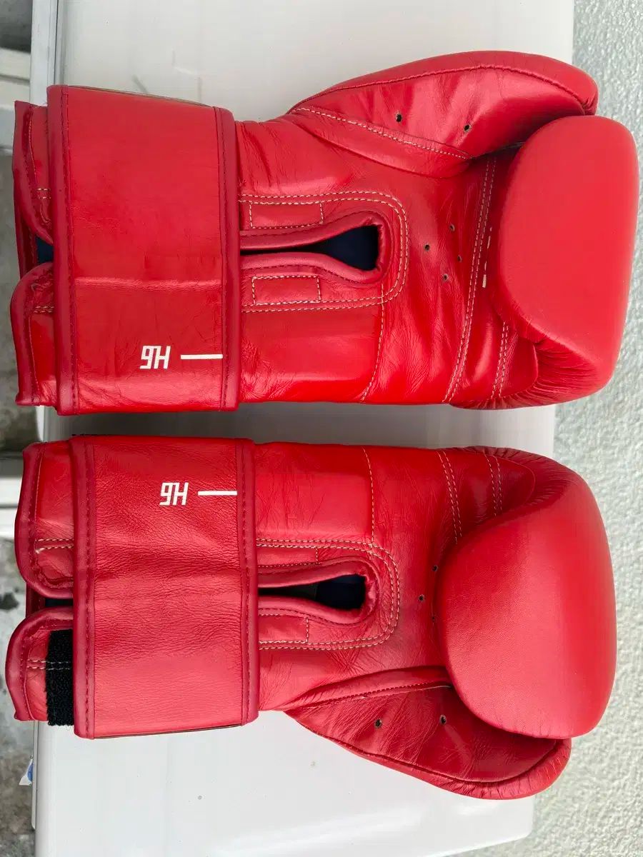 ヘビーヒーター H 6 グローブ 12単