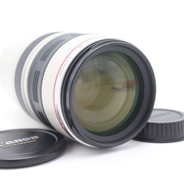 CANON 望遠ズームレンズ EF100-400mm F4.5-5.6L IS USM ♯85009