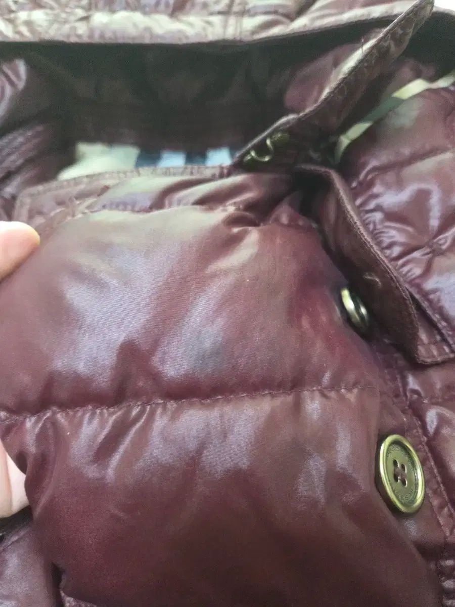 バーバリーキッズ