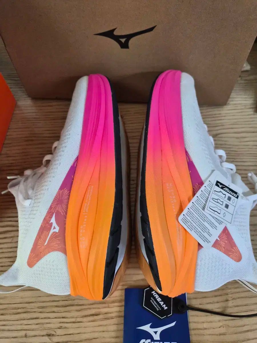 ミズノ NEOヴィスタ2 275サイズ ほぼ