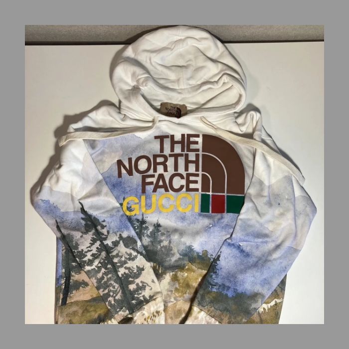 極美品】GUCCI×THE NORTH FACE ウィメンズ グッチ×ノースフェイス