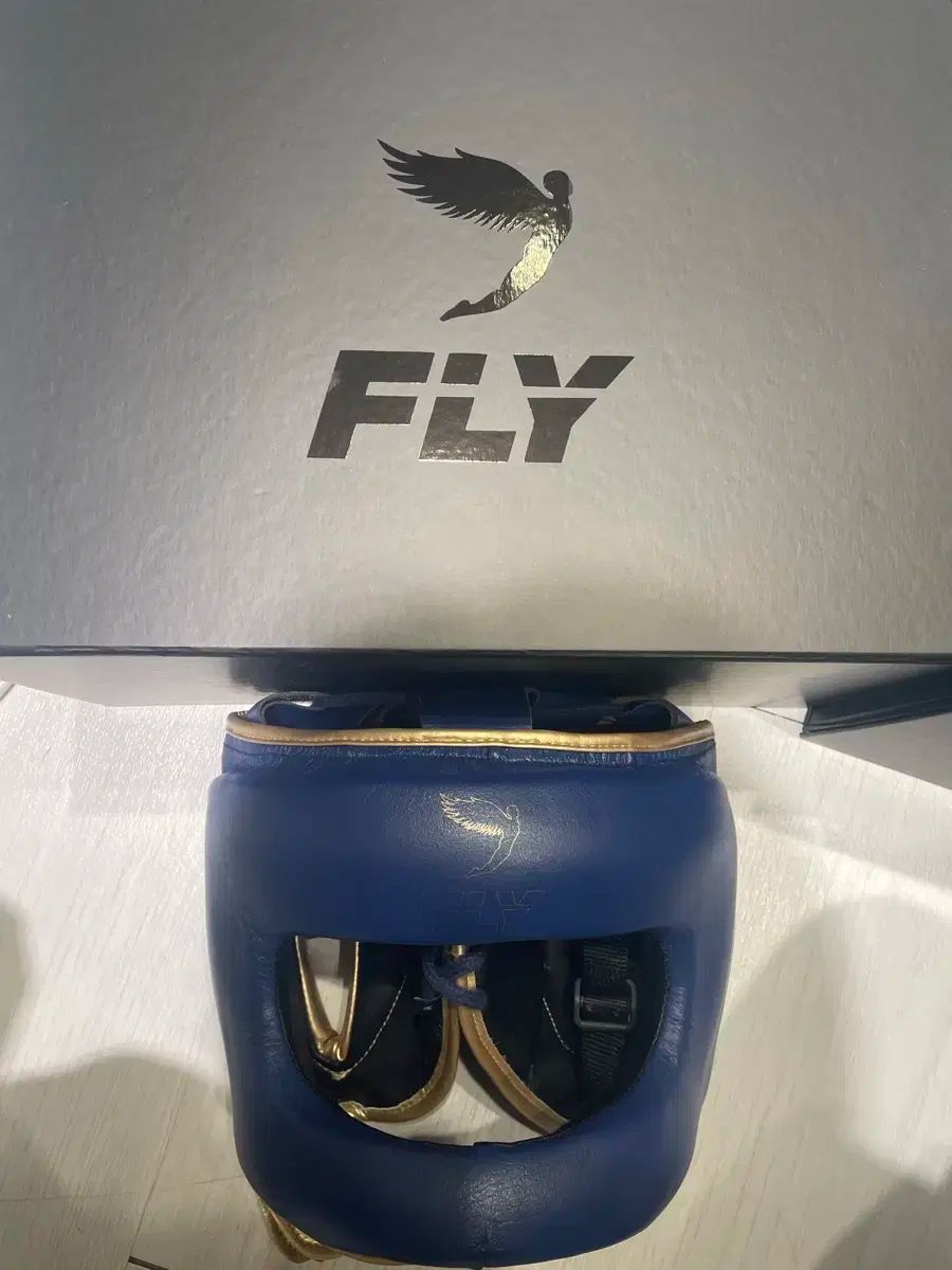 FLY ボクシング グローブ ヘッドギア