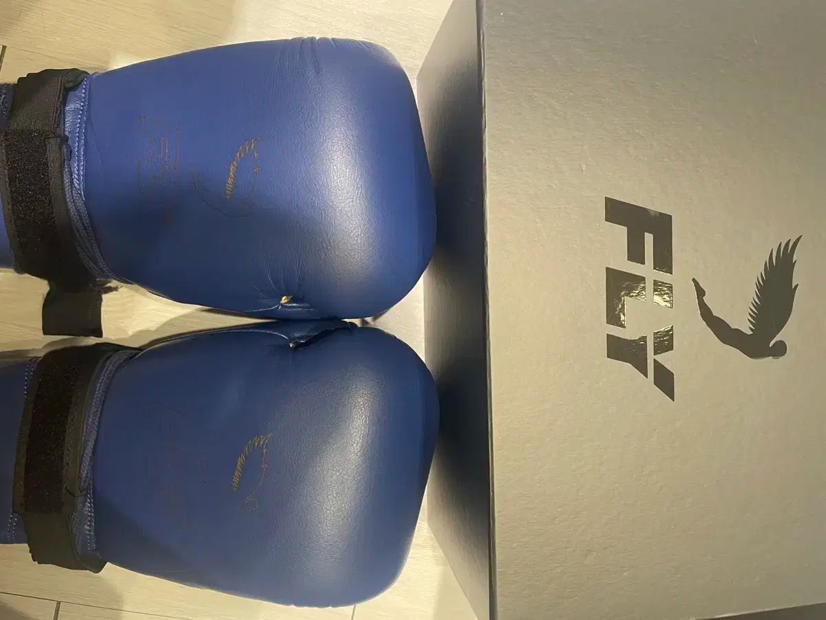 FLY ボクシング グローブ ヘッドギア