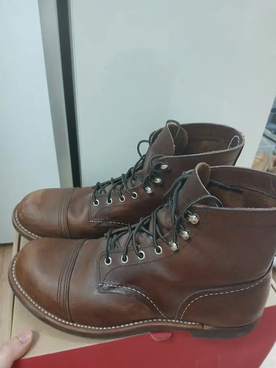 レッドウィング8111 10 5d 285