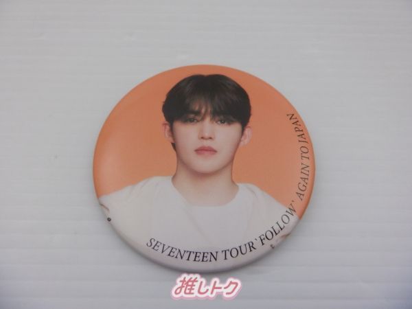 SEVENTEEN S.COUPS TOUR FOLLOW AGAIN TO JAPAN 缶バッジ エスクプス