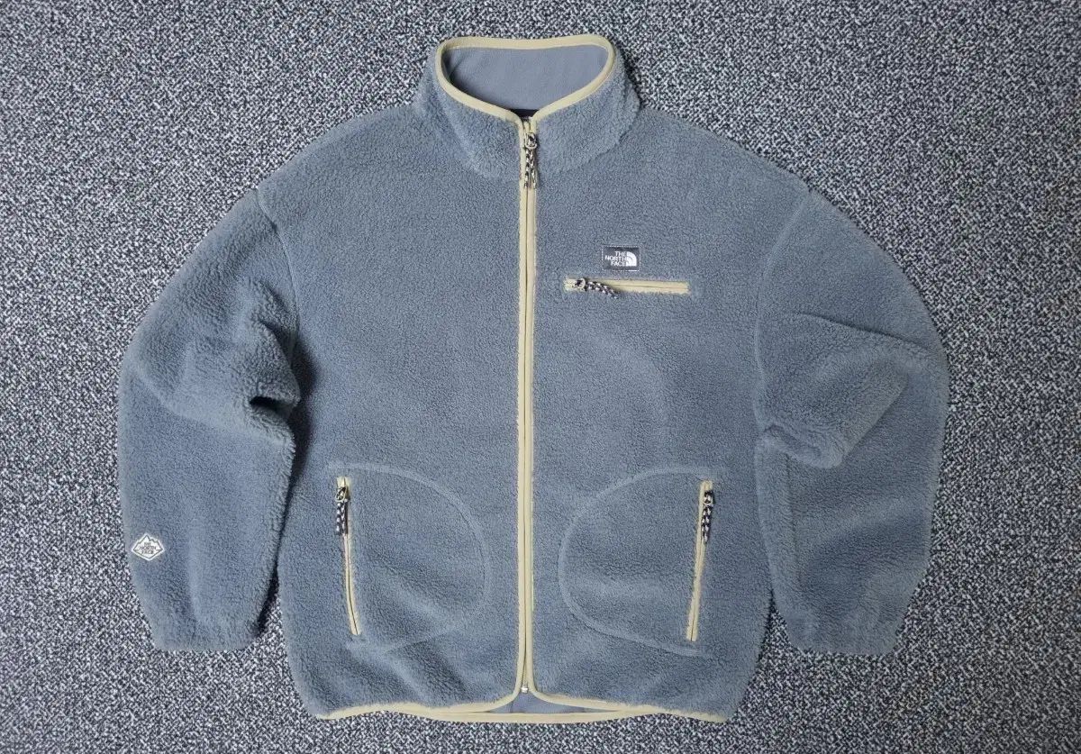 M 90 ザノースフェイス レディース セーブ ザ アース フリース ジャケット
