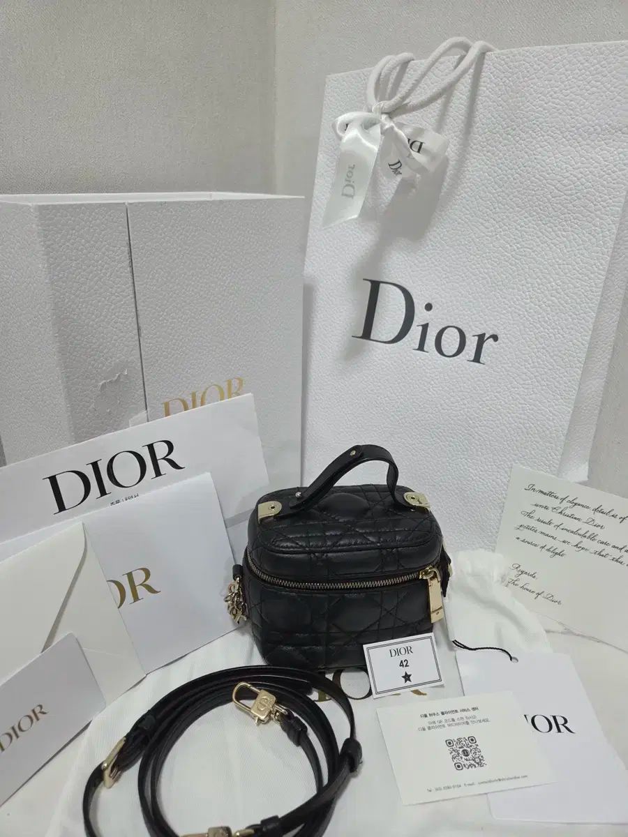 ディオール レディディオール ミニ ベニティ バッグ