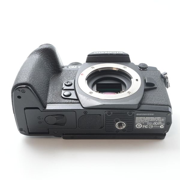 ボディ ブラック