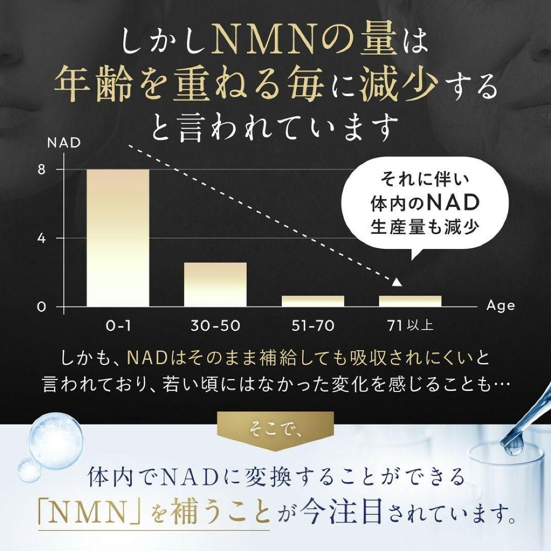  NMN サプリメント 49500 mg 高純度 ２本セット その他 サプリメント