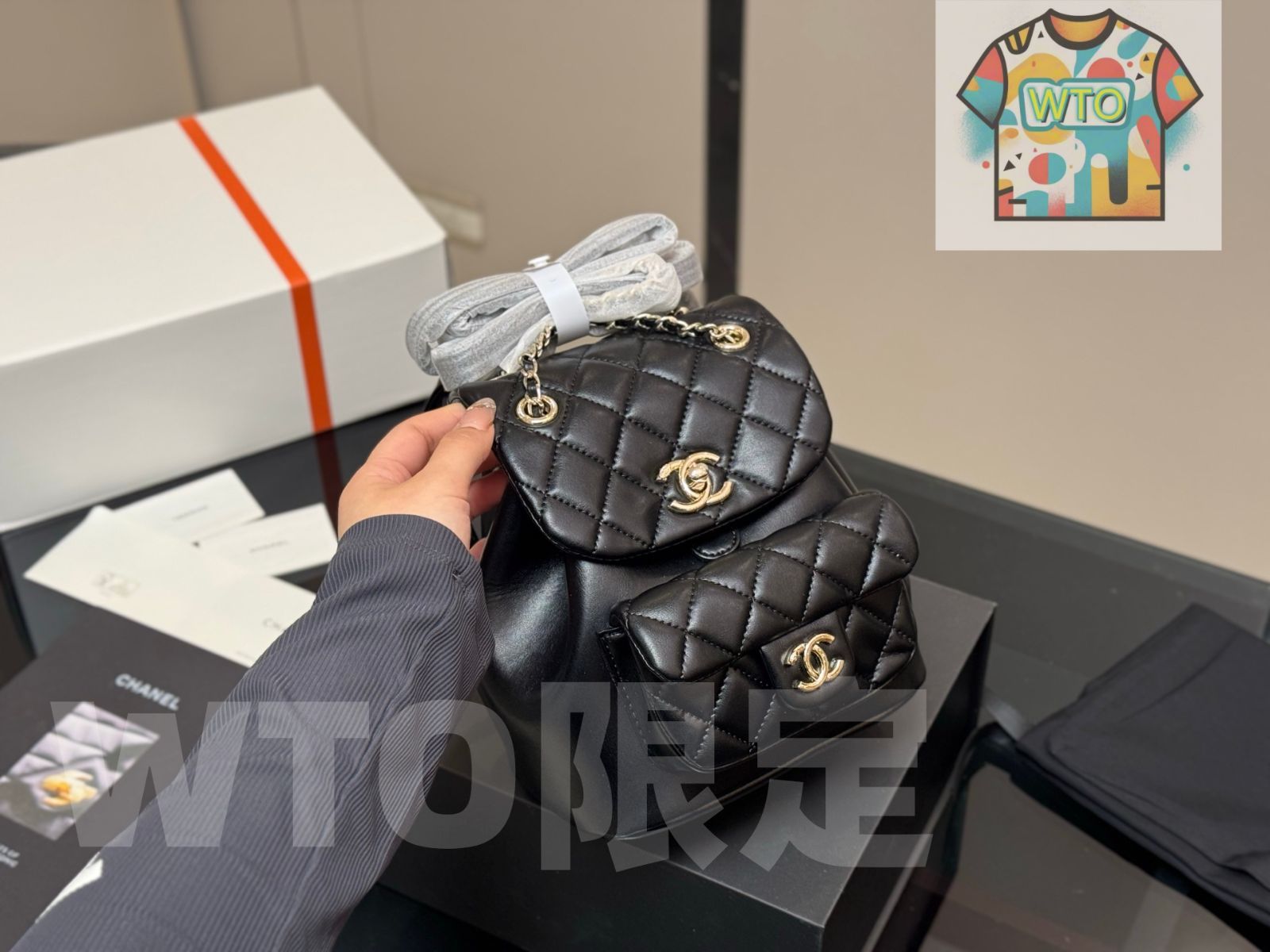 今日 Chanel Duma Backpack デュマ バックパック-WT0輸入