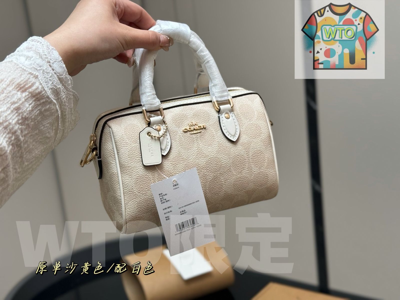  今日 Coach Mini Pillow Bag ミニピローバッグ -WT 0輸入 トートバッグ バッグ