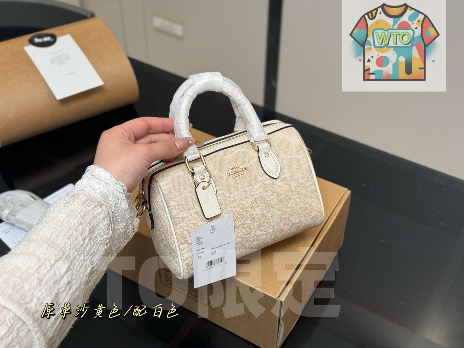 今日 Coach Mini Pillow Bag ミニピローバッグ -WT0輸入