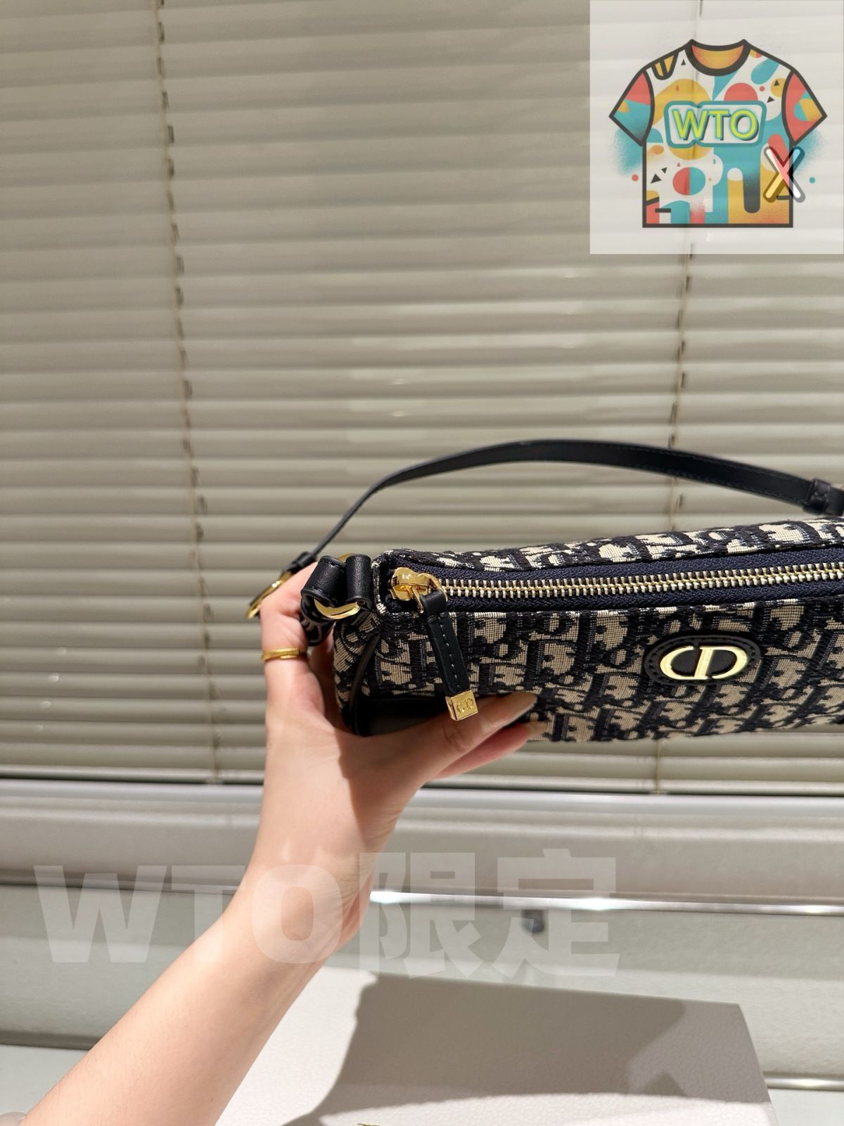  今日 DIOR Baguette Hobo Underarm Bag ディオール バゲット ホボ アンダーアームバッグ-WTO輸入3 トートバッグ バッグ