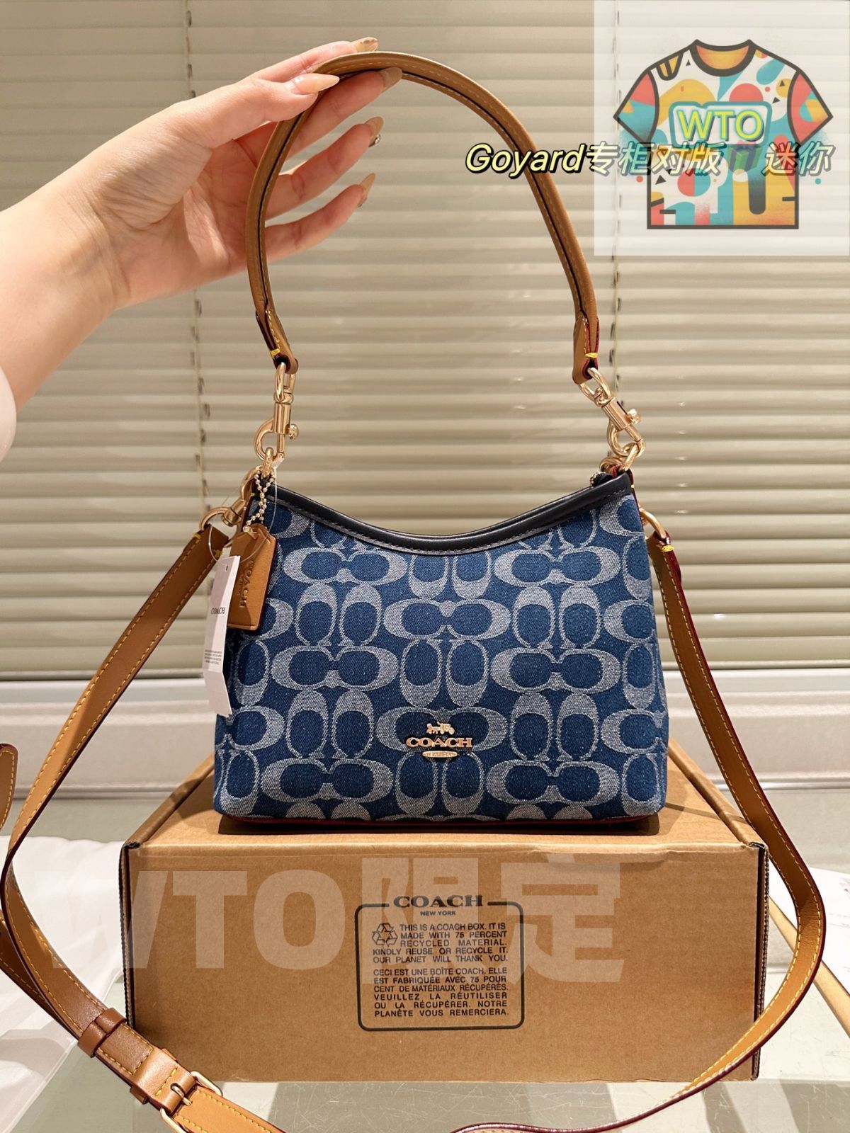 今日 COACH Mini Rogue Bag クーチ ミニ ローグ バッグ -WT0輸入