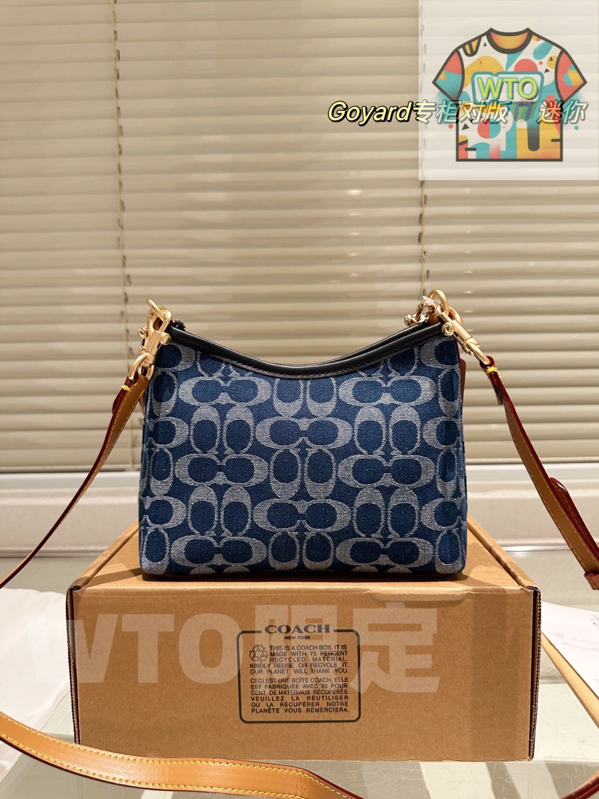 今日 COACH Mini Rogue Bag クーチ ミニ ローグ バッグ -WT0輸入