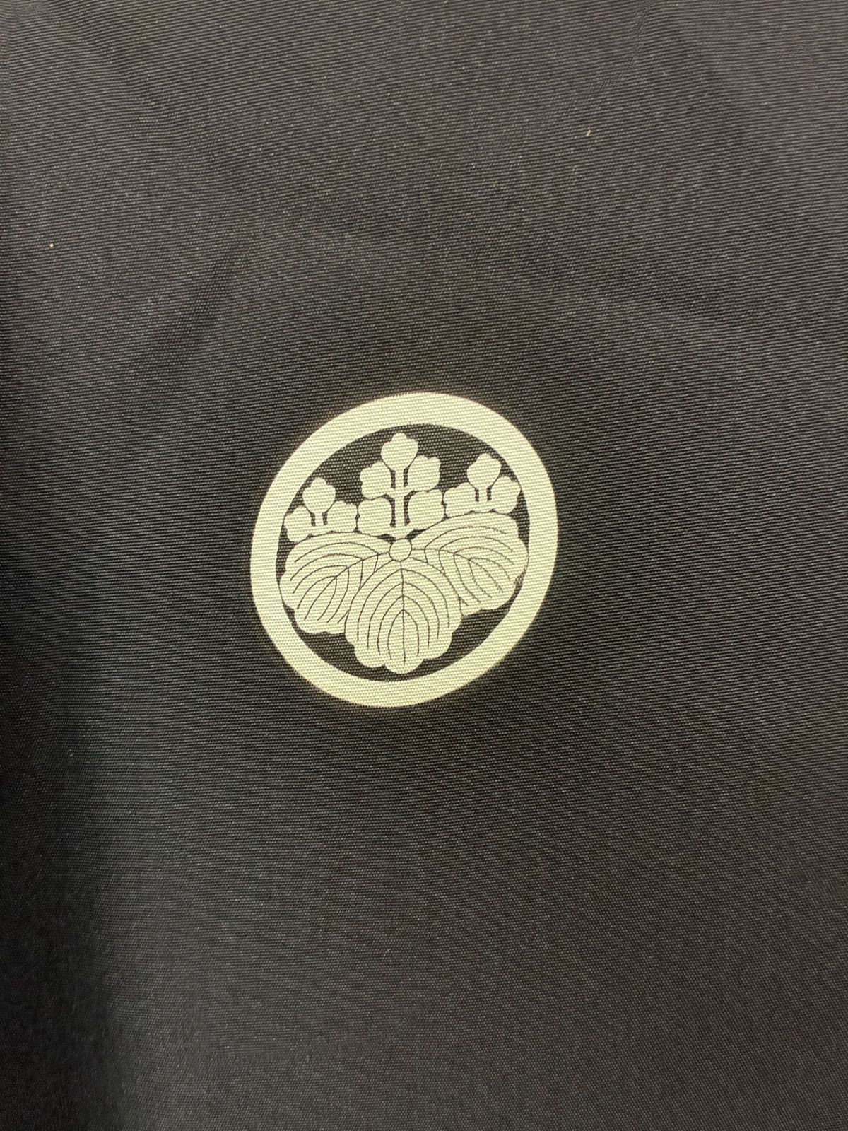 メンズ 紋付着物 羽織 富士山にドラゴン