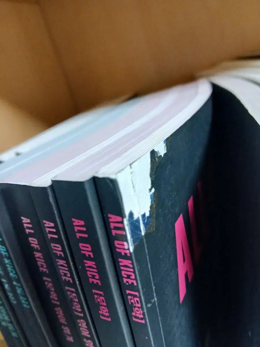 2026 キム スンリ オール オブ KICE