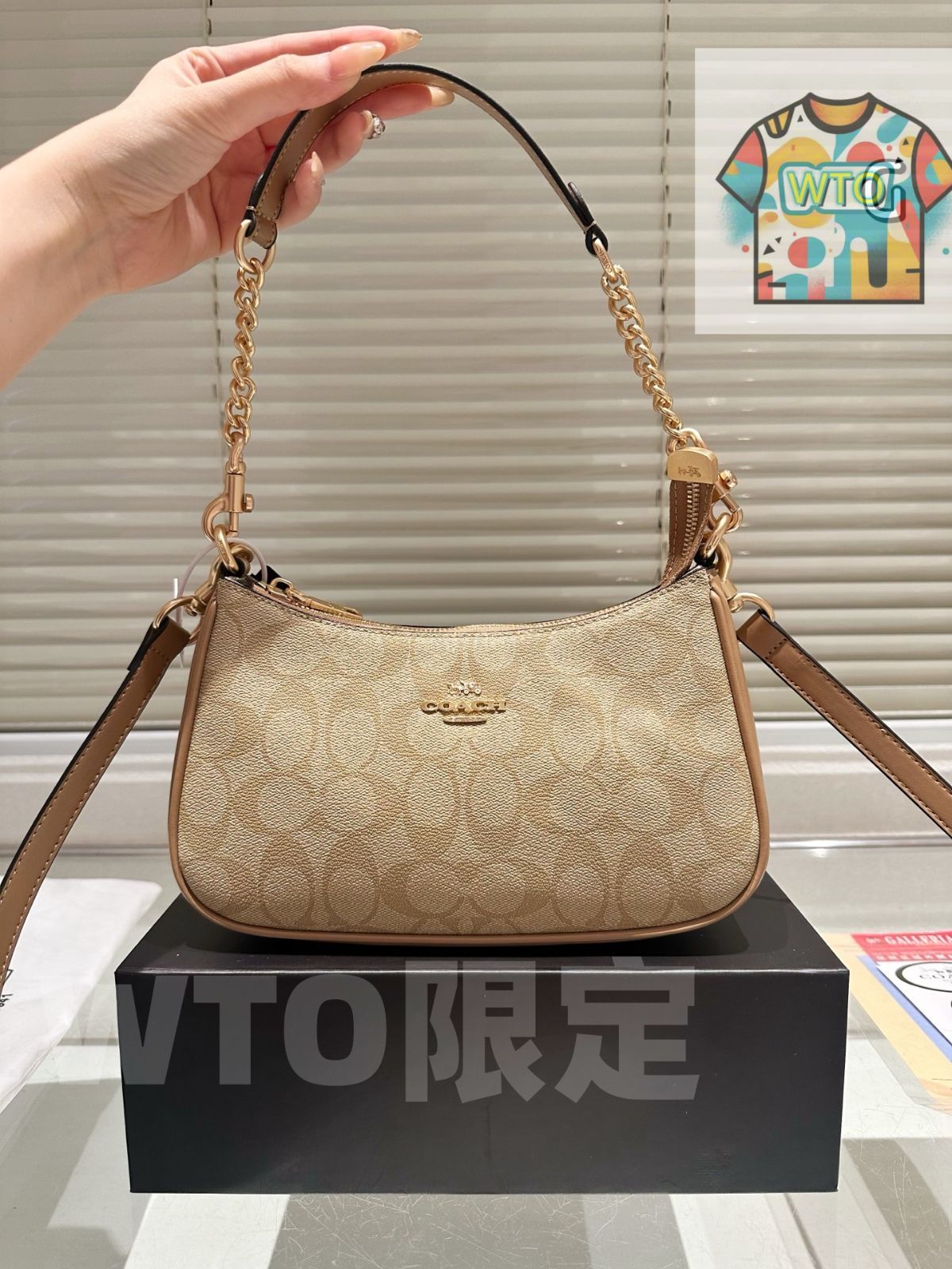 今日 COACH アームマージャンバッグ サイズ 24×14cm レトロ -WTO輸入1 GINKGOPHARMACY_COM