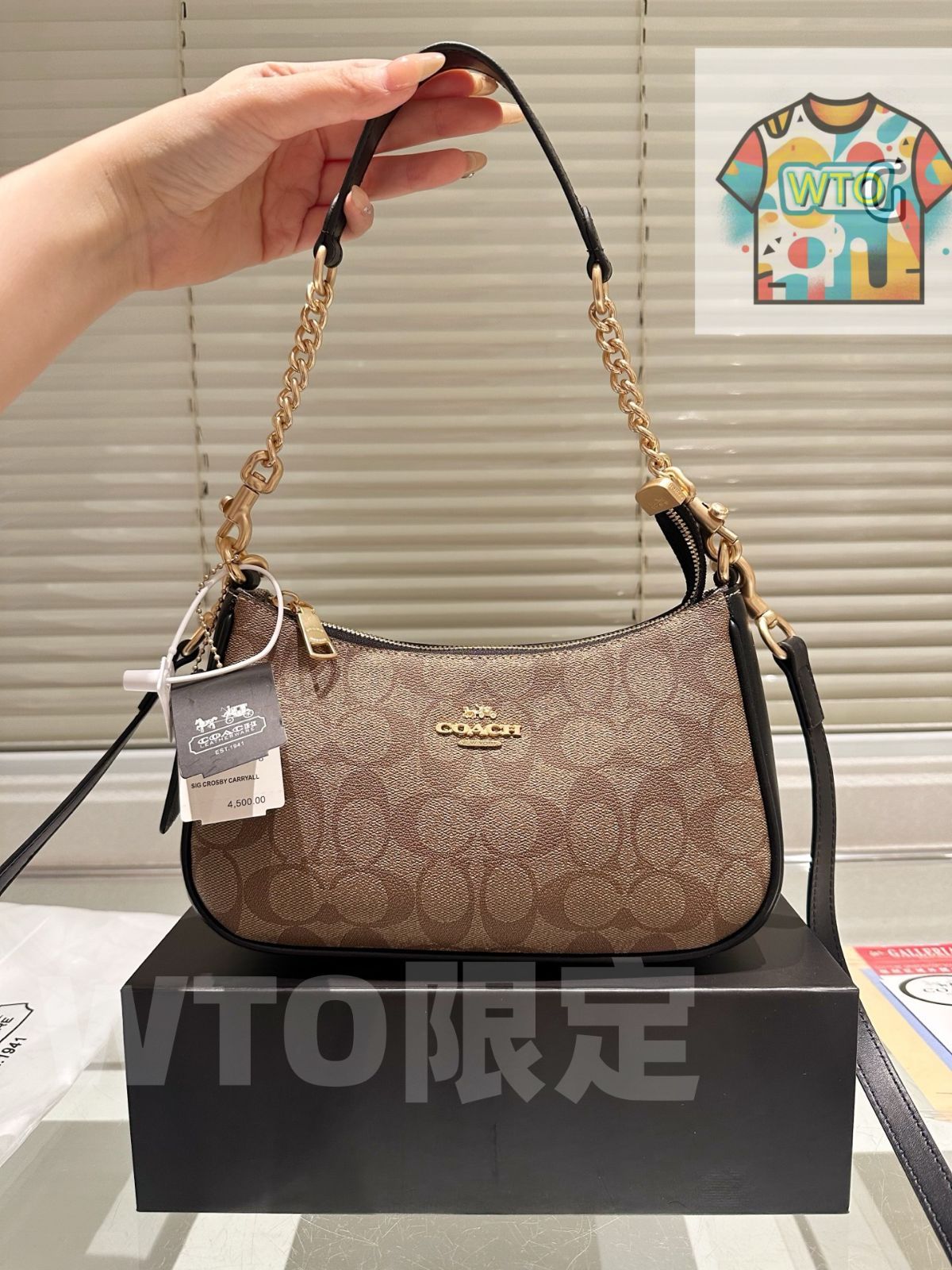 今日 COACH アームマージャンバッグ サイズ 24×14cm レトロ -WTO輸入1