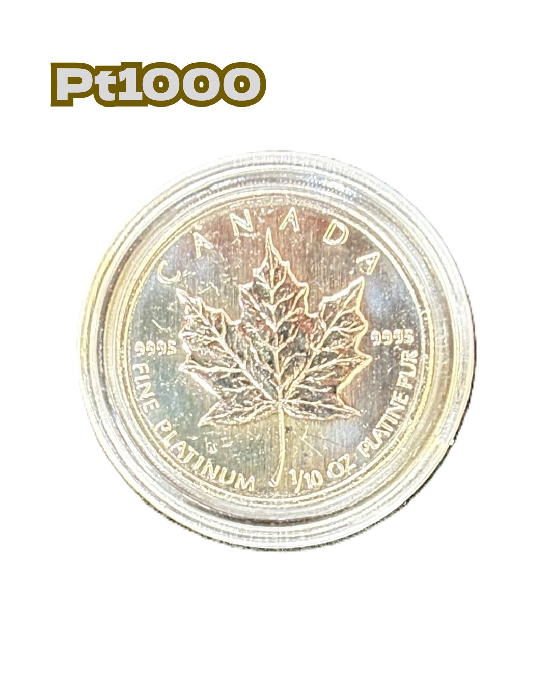 Pt 1000 ケース付き エリザベス2世 メイプルリーフコイン 5ドルコイン 1 10オンス 3 1ｇ