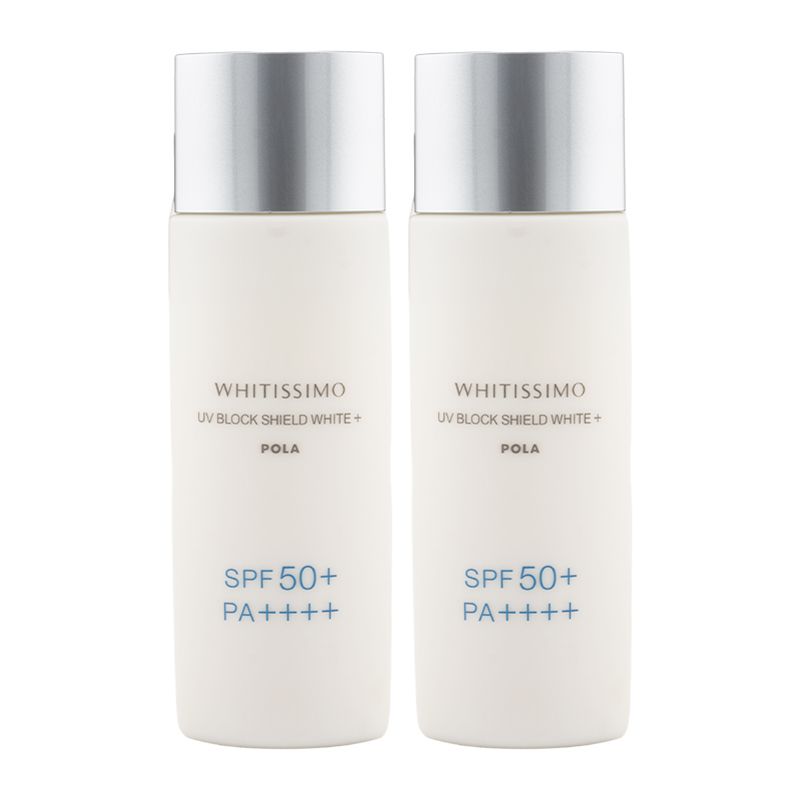 在庫処分】KPMMS-AC40 PMMS-AC100 MSAPーAC PMAC-100-S フィルター 100