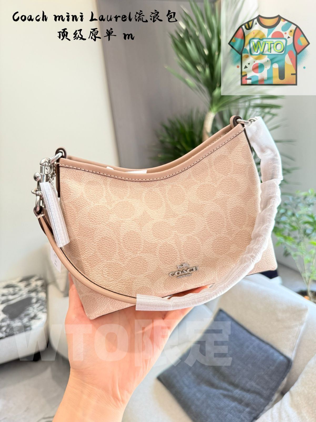 コンパクトデザイン-WTO輸入1