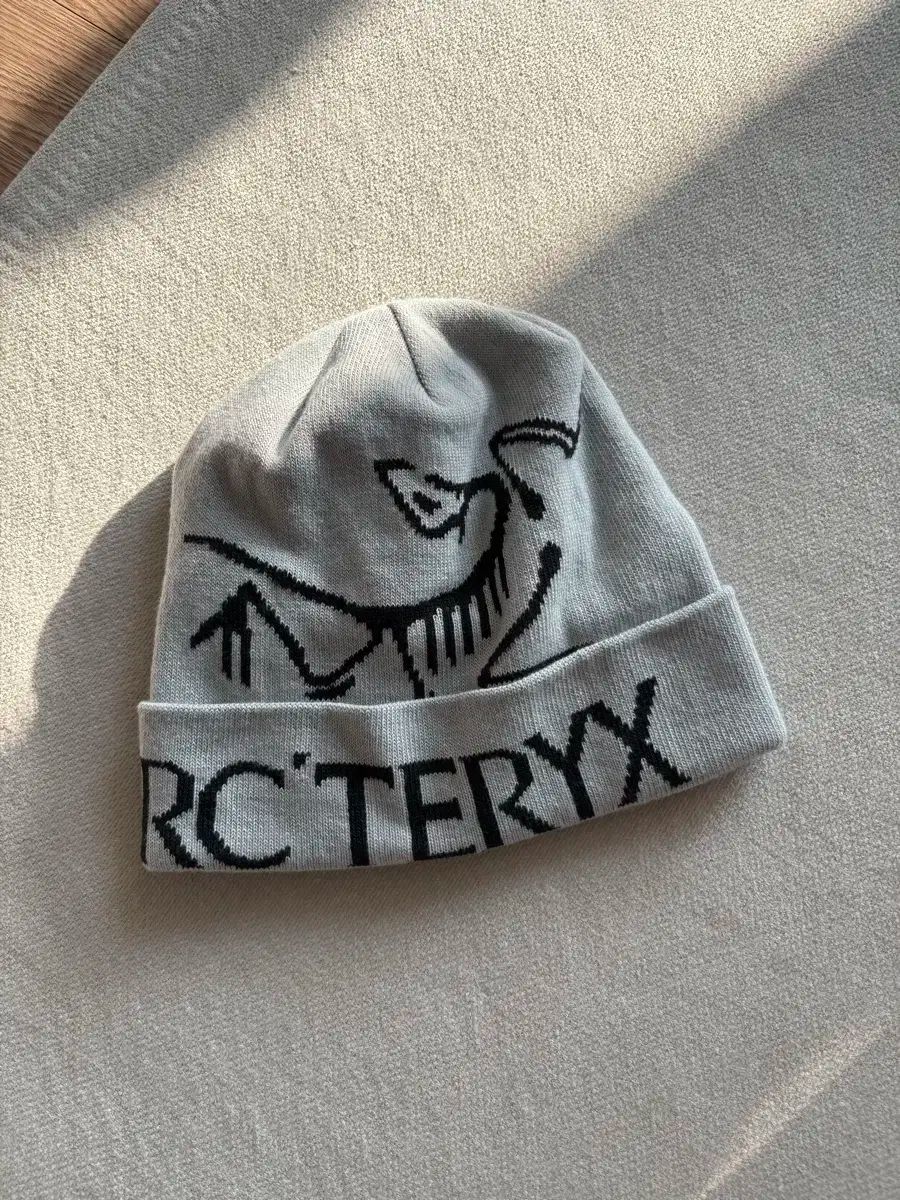 アークテリクス BIRD ワード トーク オルカ ビーニー