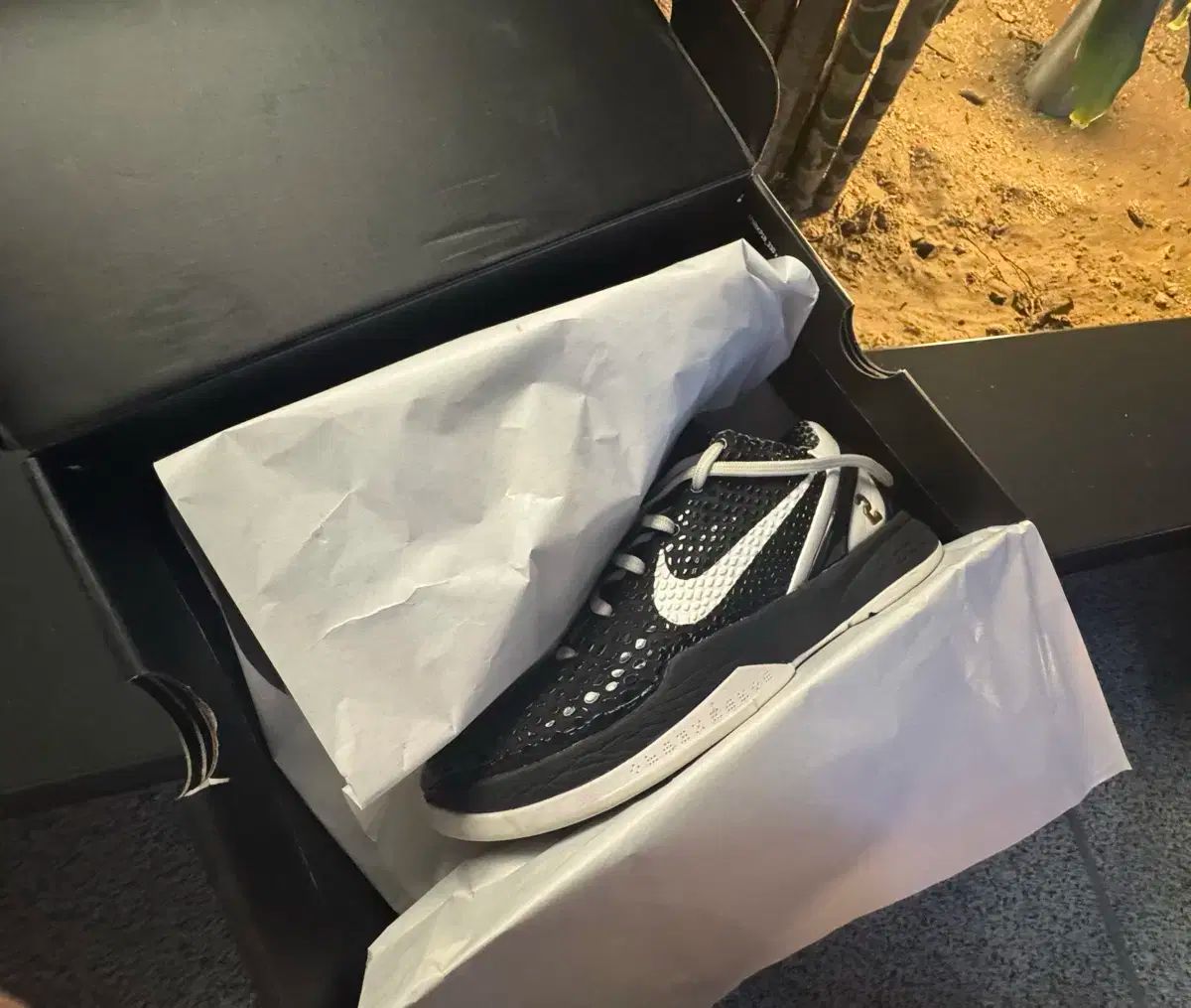 コービー 6 マンバシータ プロトロ 270