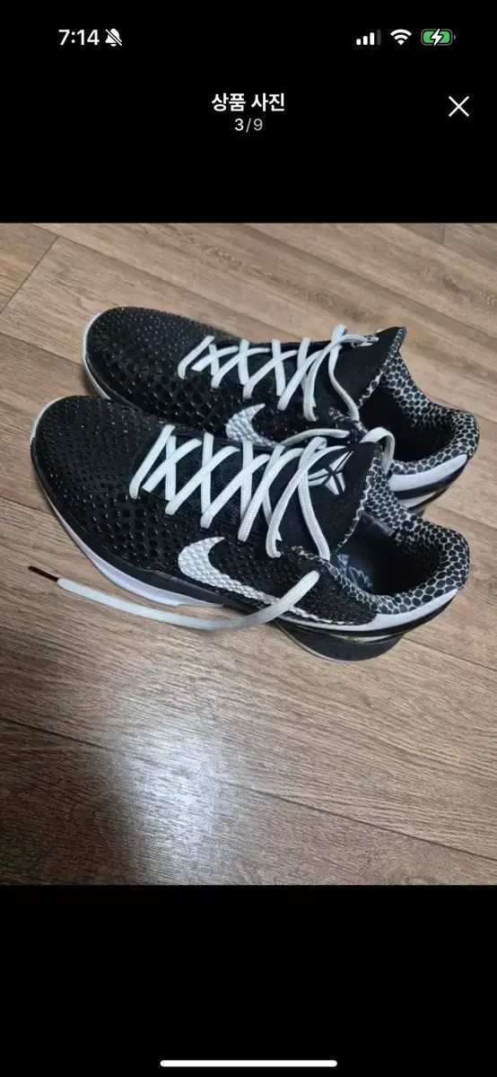 マンバシータ プロトロ