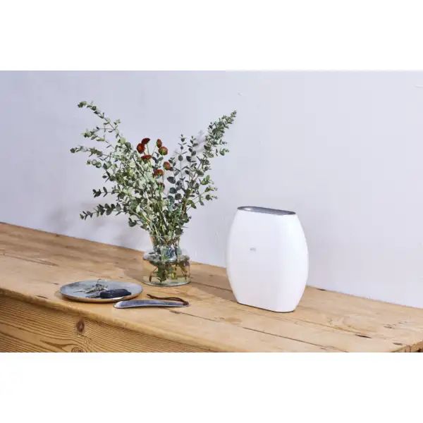 訳アリアウトレット】Maxell｜マクセル オゾン除菌消臭器 オゾネオ