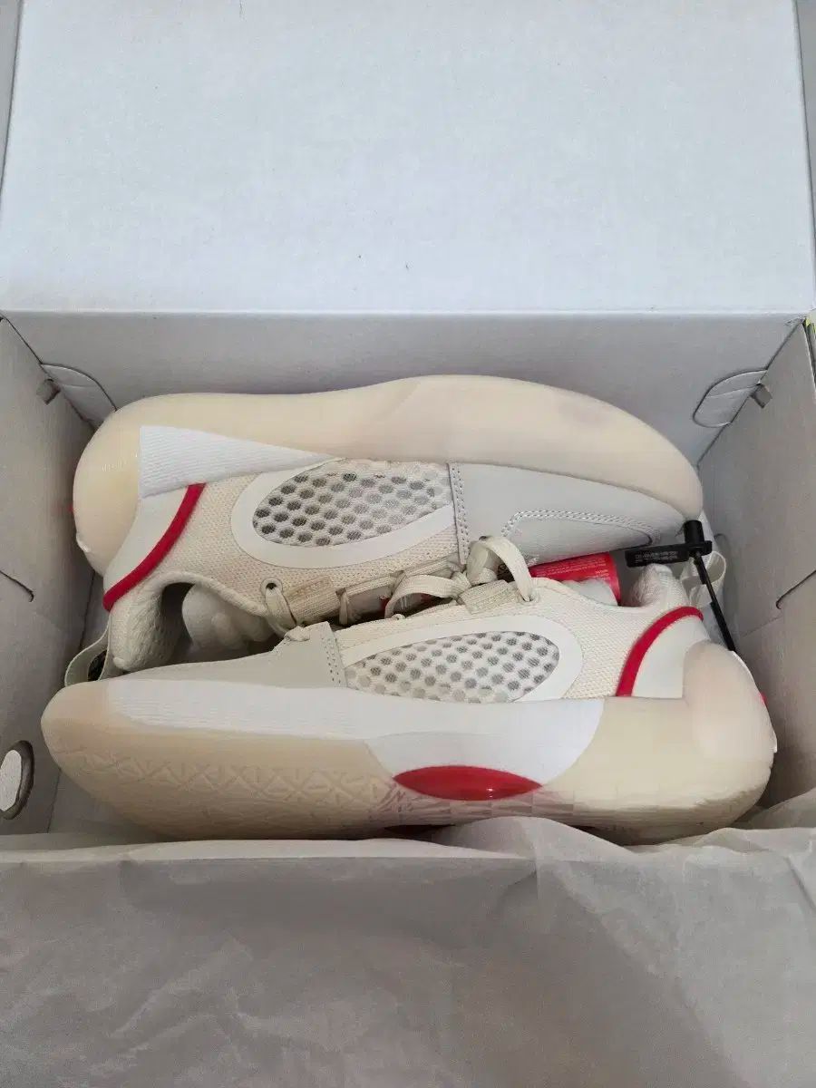 LI-NING リーニン オールシティ 12 アンコール バスケシューズ 260 mm