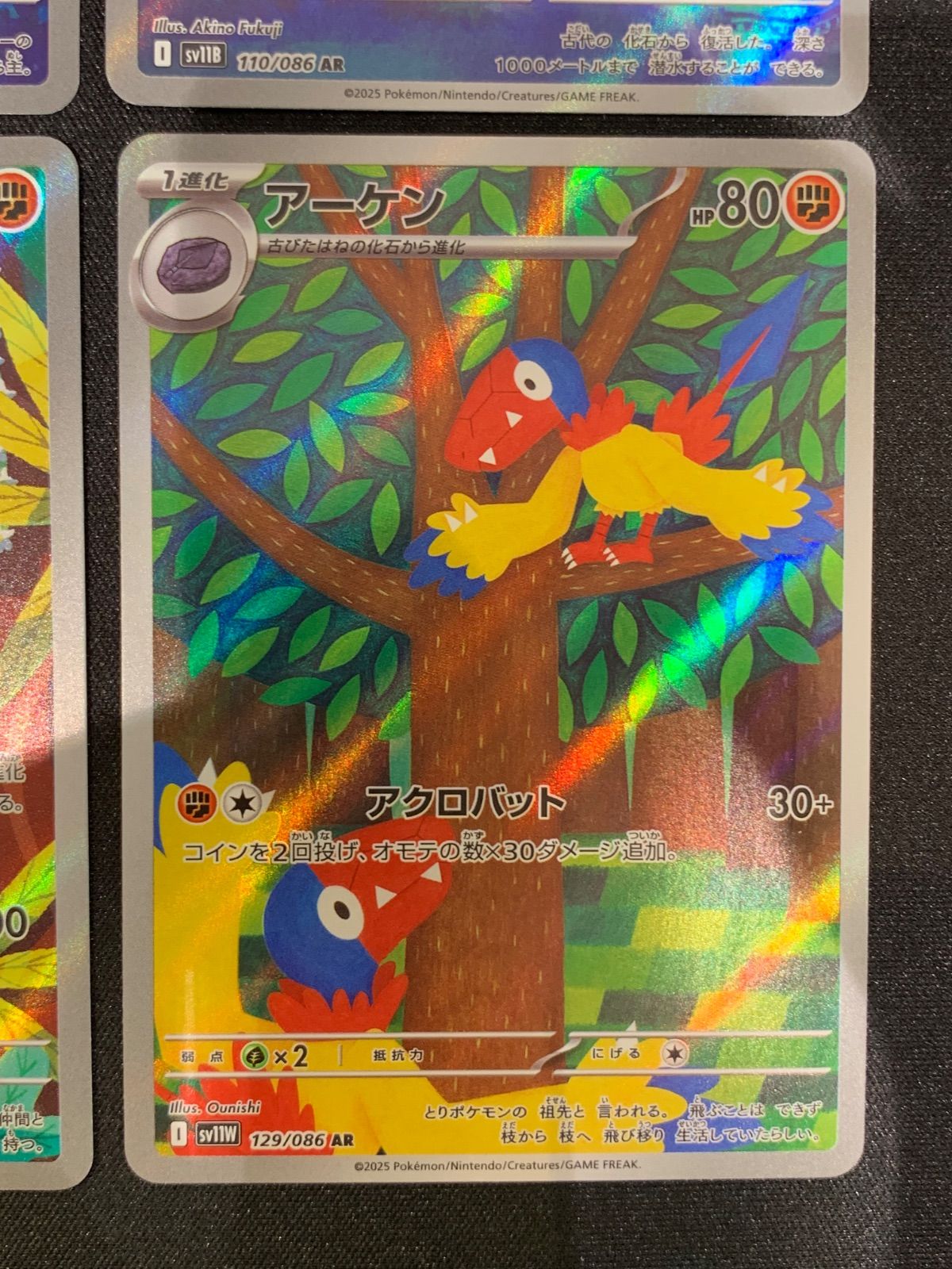 アバゴーラ プロトーガ アーケオス アーケン ARセット コンプオフ