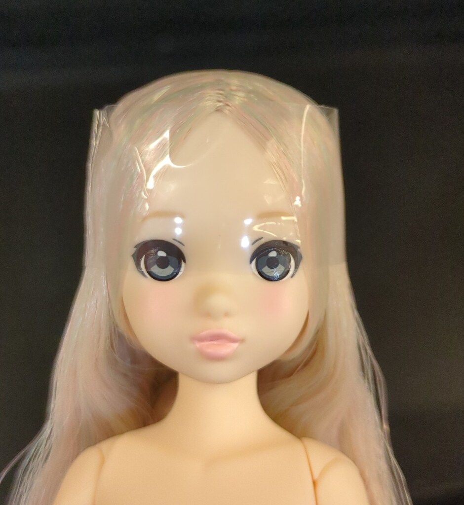 ペットワークス CCSgirl 23SS ruruko