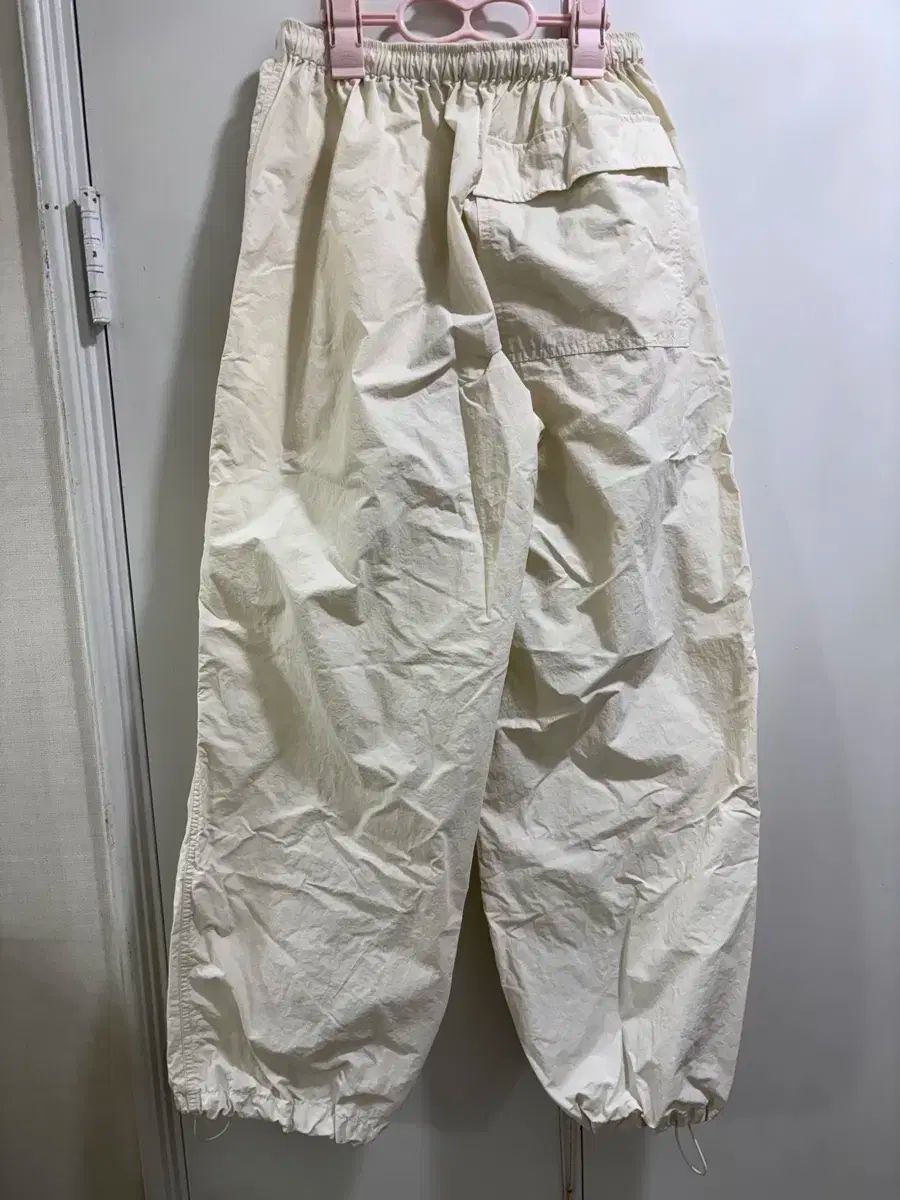 ワイル タートル