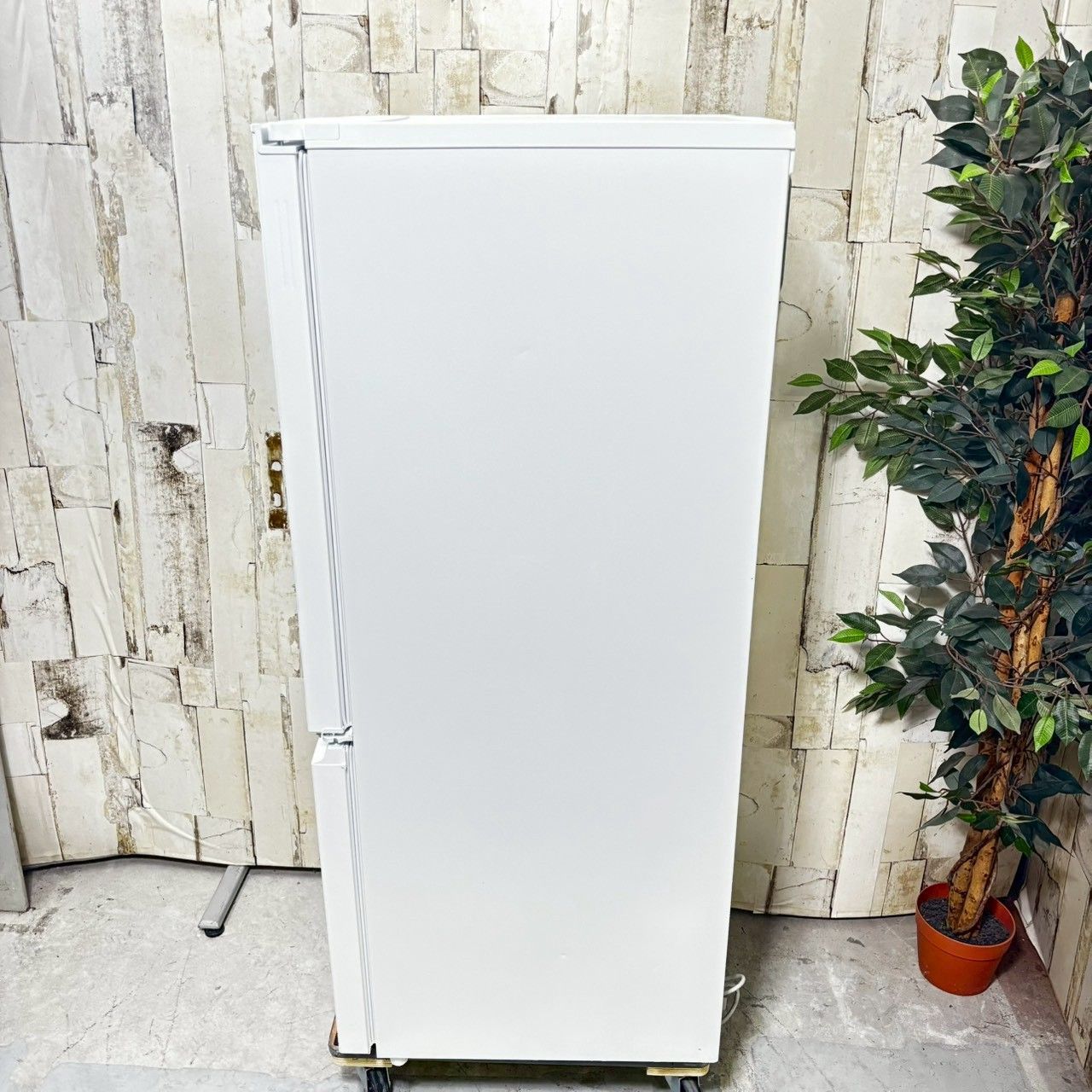 SHARP　ノンフロン冷凍冷蔵庫　SJ-D18J-W　2023年製 SJ-D18J | 冷蔵庫：シャープ