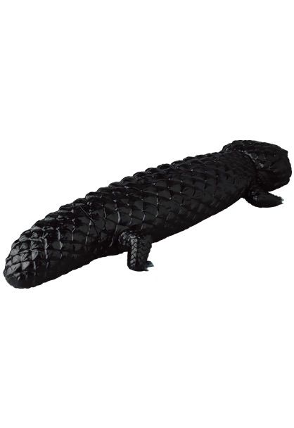 中古】メディコムトイ マツカサトカゲ4つ足 安楽安作 送料込 - メルカリ