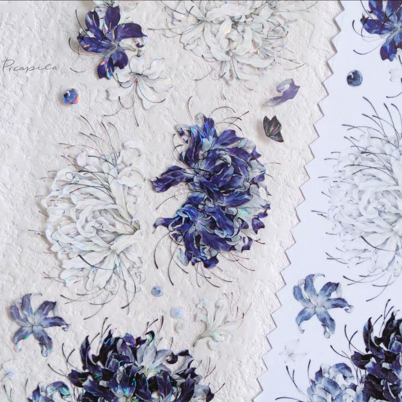 贝壳光 彼岸暮花颂 6cm×10m 100cm/loop 海外マスキングテープ 海外