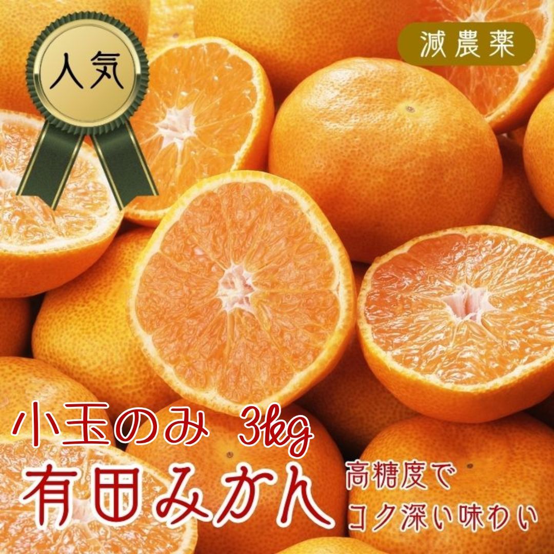 小玉と小粒を厳選！農家直送☆ 甘い和歌山 減農薬 有田みかん 3kg