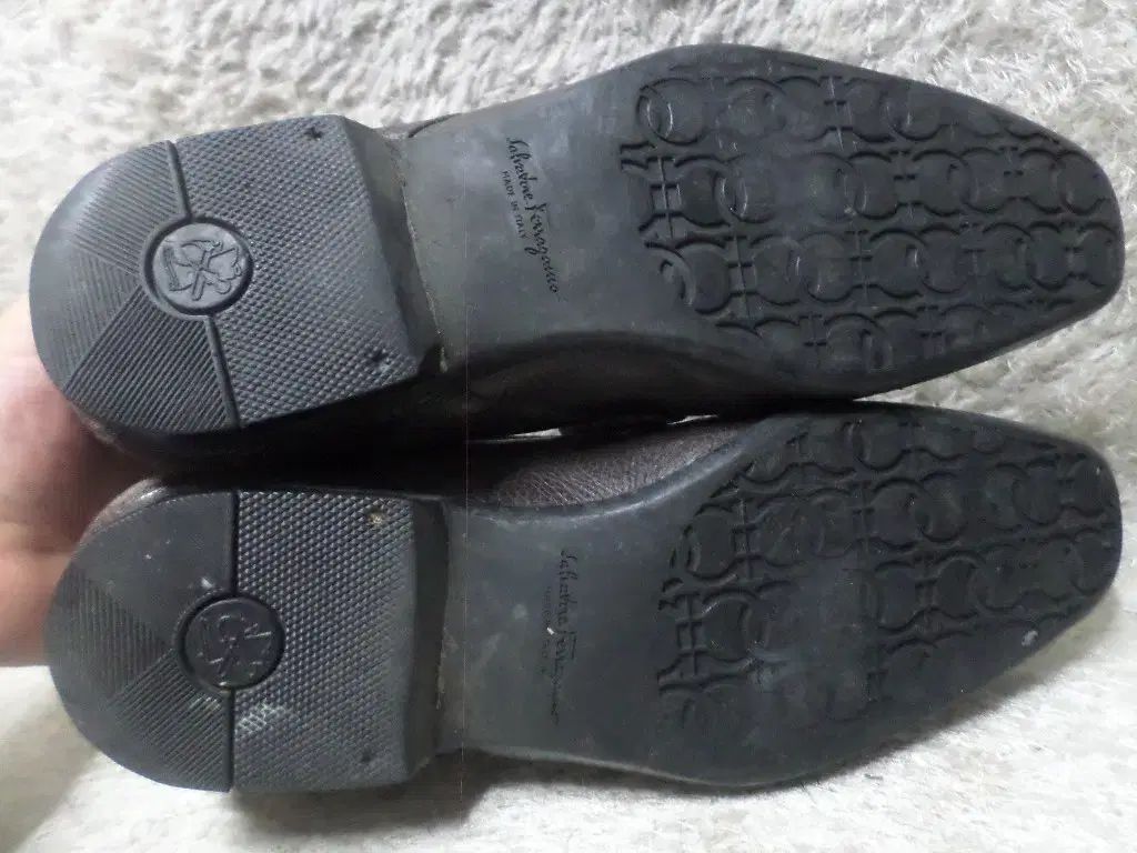 サルヴァトーレ