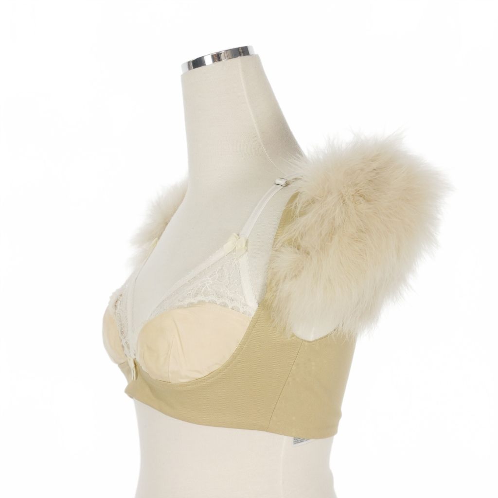  ディースクエアード 23 AW Feather Goth Bra Top ショート丈トップス 半袖 40 ベージュ 正規 その他 トップス