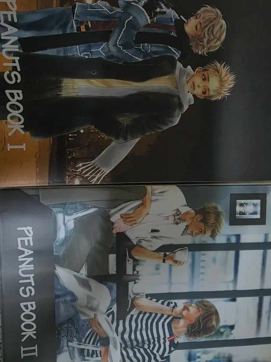 トーンヒョク ウェス ピーナッツ BOOK ファンフィクション