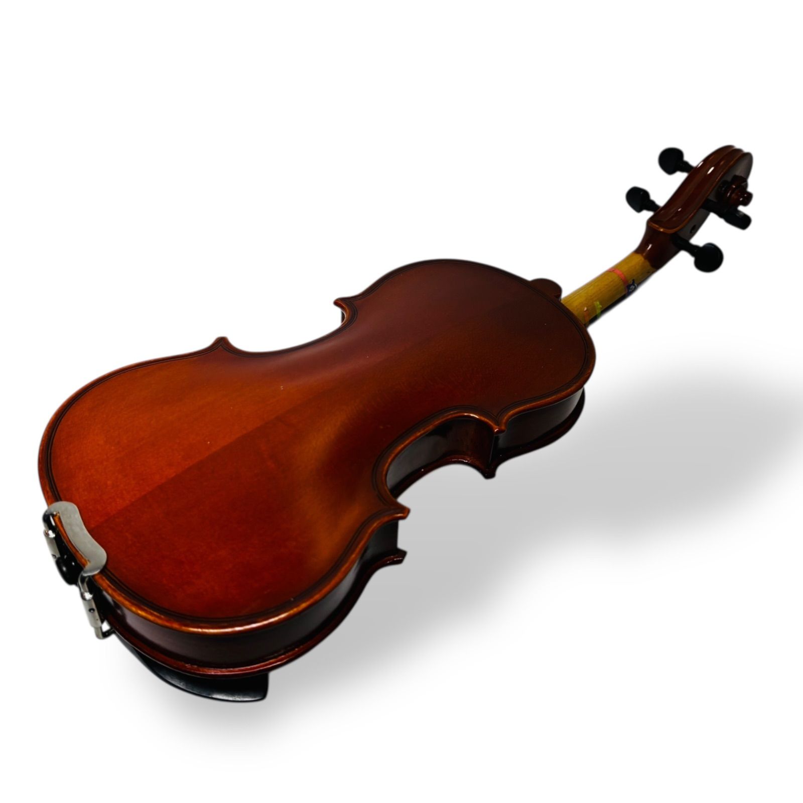 希少】アンドレアイーストマン VL80 1/10 Andreas Eastman 2023年 弓 S